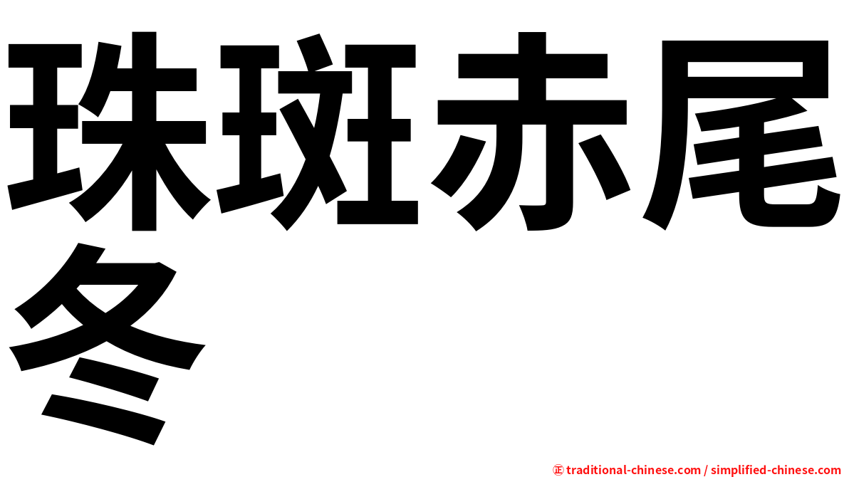 珠斑赤尾冬