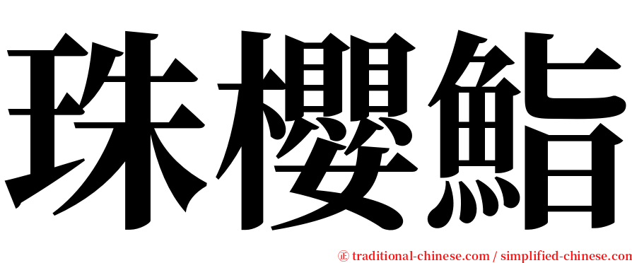 珠櫻鮨 serif font