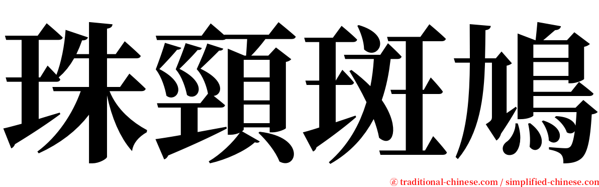 珠頸斑鳩 serif font