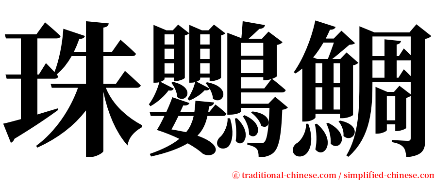 珠鸚鯛 serif font