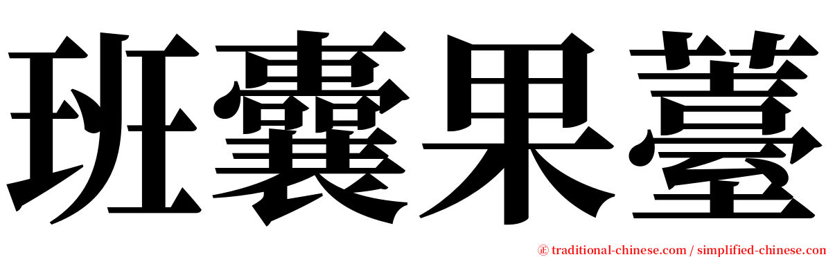 班囊果薹 serif font