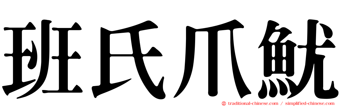 班氏爪魷