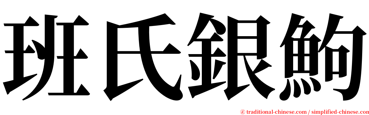 班氏銀鮈 serif font