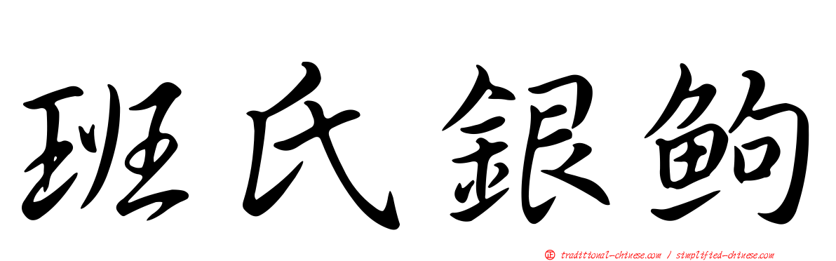 班氏銀鮈