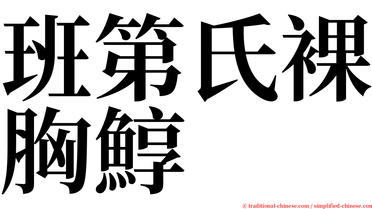 班第氏裸胸鯙 serif font