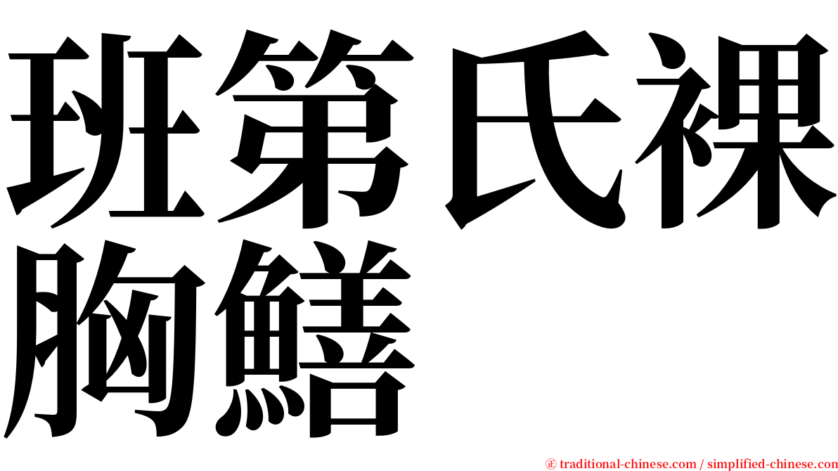 班第氏裸胸鱔 serif font