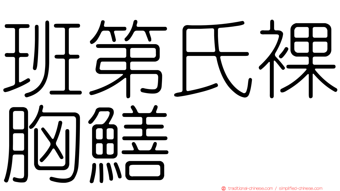 班第氏裸胸鱔