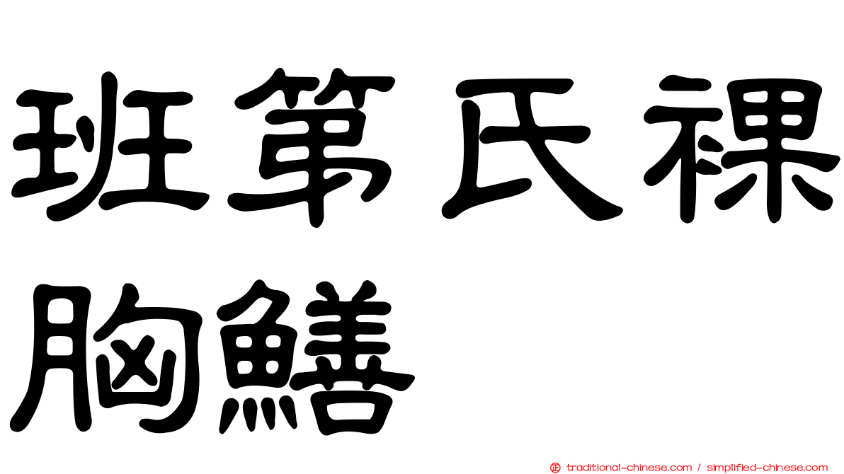 班第氏裸胸鱔