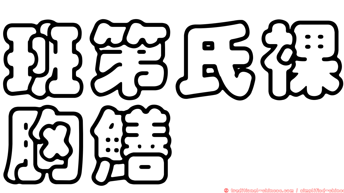 班第氏裸胸鱔