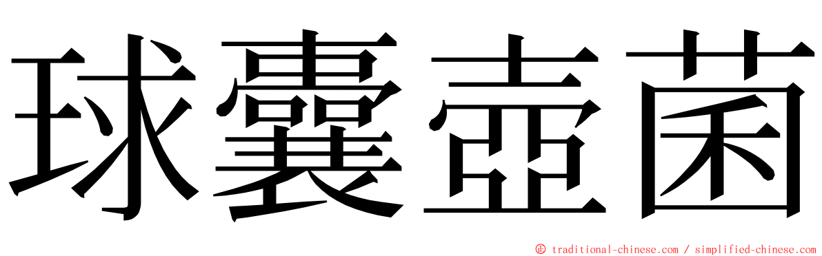 球囊壺菌 ming font