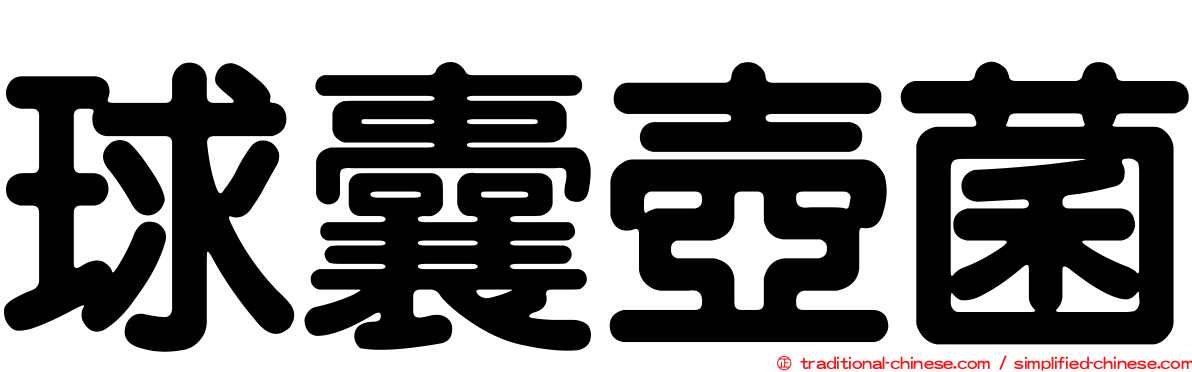 球囊壺菌