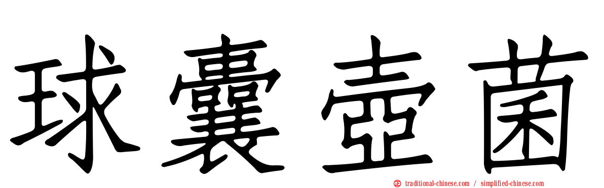 球囊壺菌