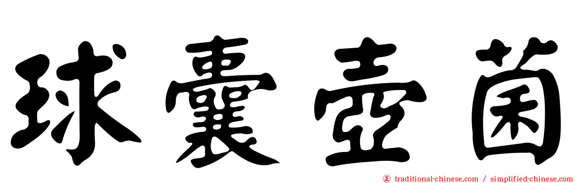 球囊壺菌