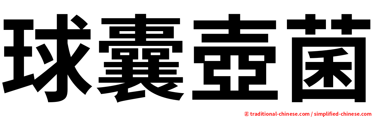 球囊壺菌