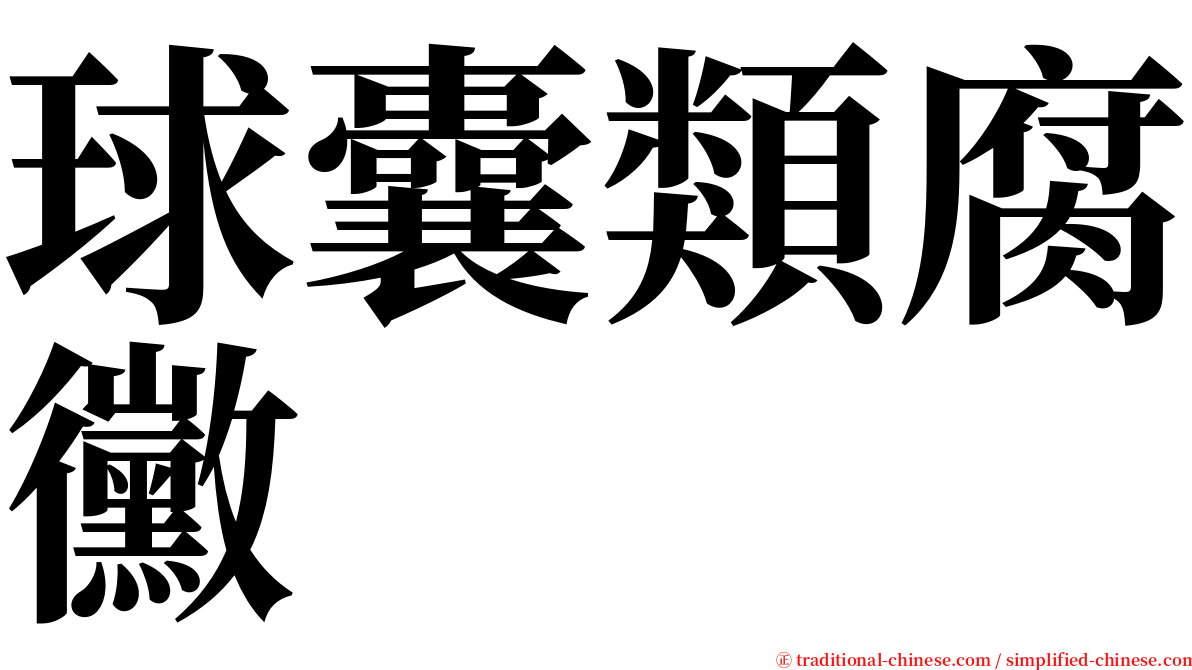 球囊類腐黴 serif font