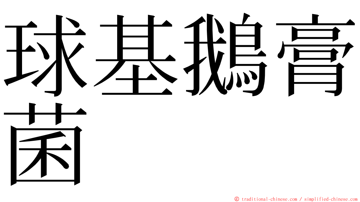 球基鵝膏菌 ming font