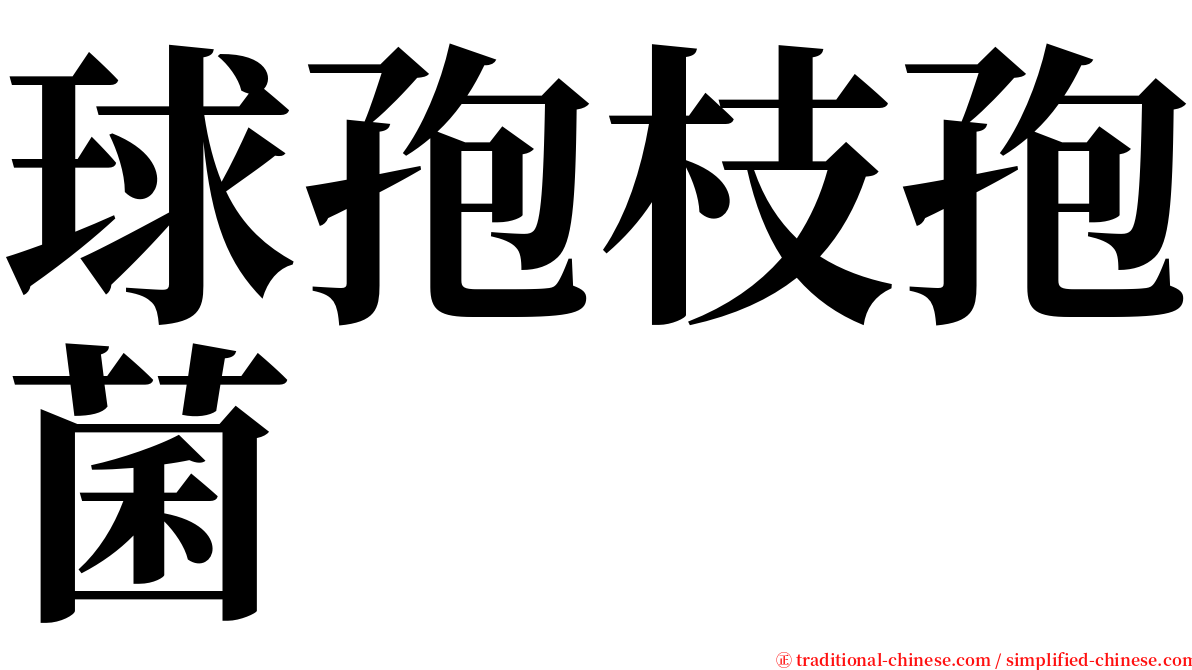 球孢枝孢菌 serif font