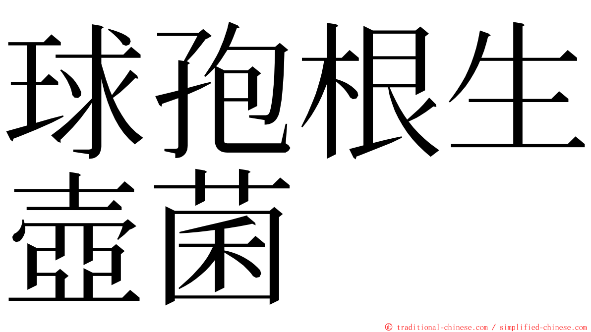 球孢根生壺菌 ming font