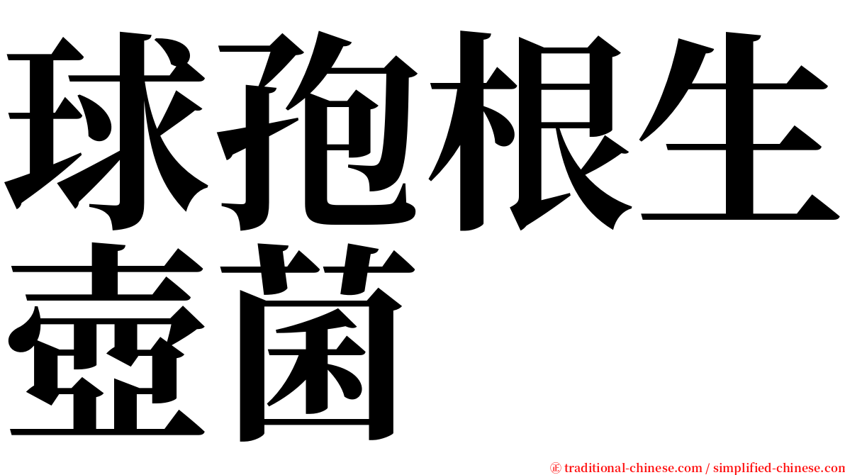 球孢根生壺菌 serif font