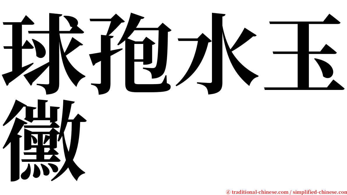 球孢水玉黴 serif font