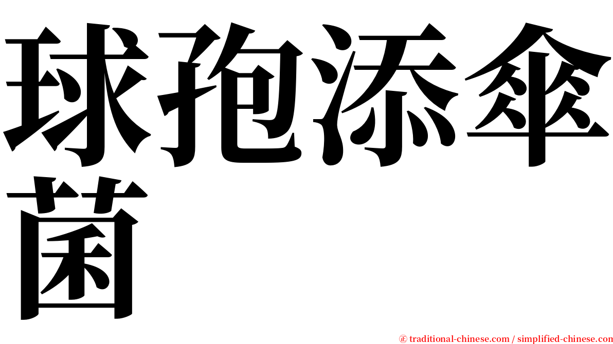 球孢添傘菌 serif font