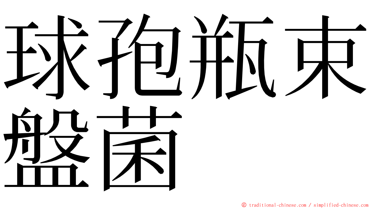 球孢瓶束盤菌 ming font