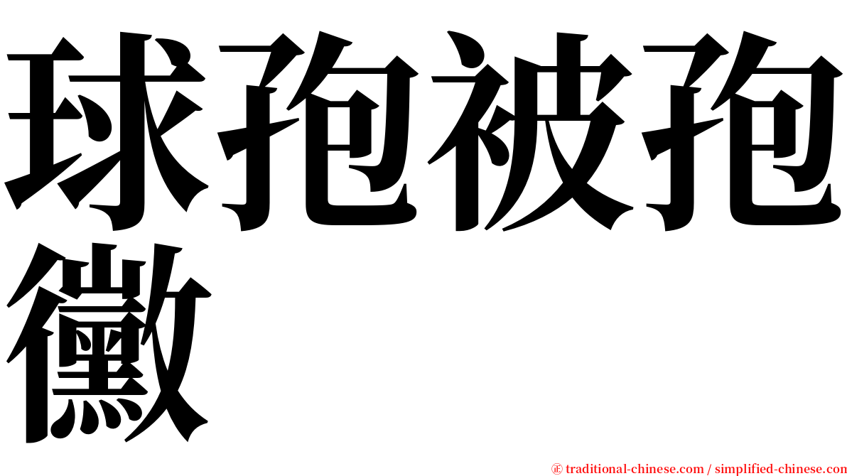 球孢被孢黴 serif font