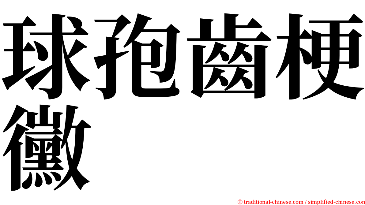 球孢齒梗黴 serif font