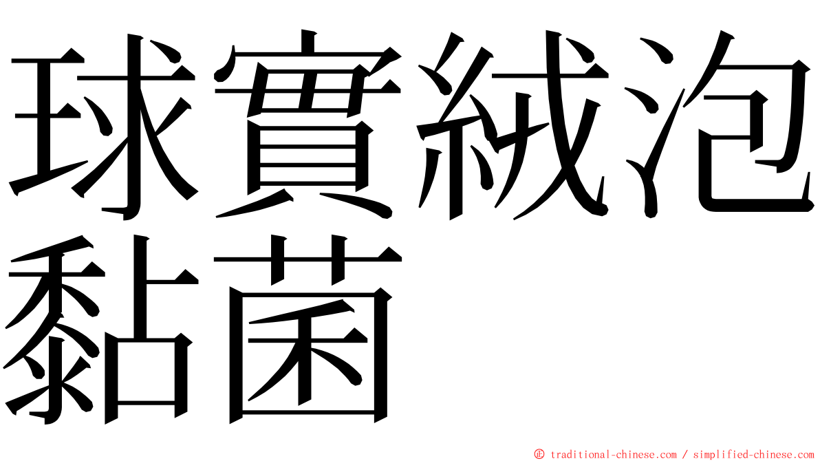 球實絨泡黏菌 ming font