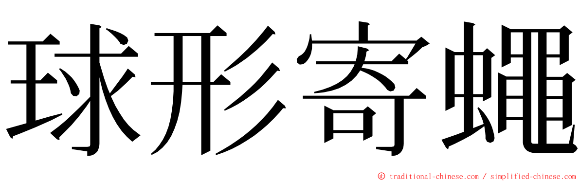 球形寄蠅 ming font