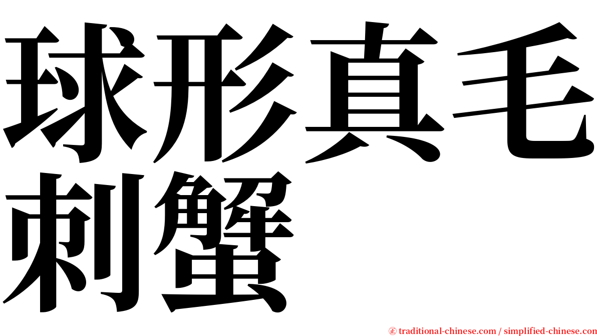 球形真毛刺蟹 serif font