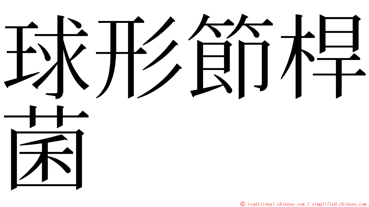 球形節桿菌 ming font