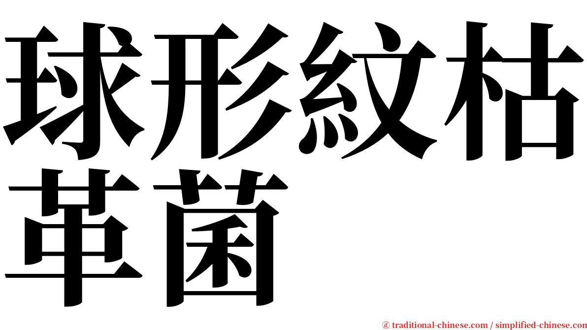 球形紋枯革菌 serif font