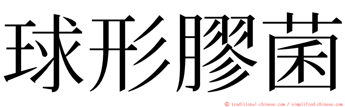 球形膠菌 ming font