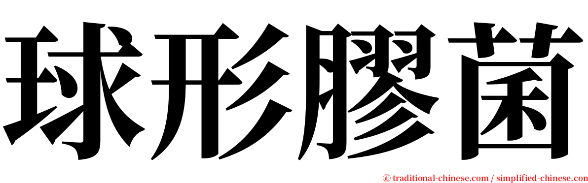 球形膠菌 serif font