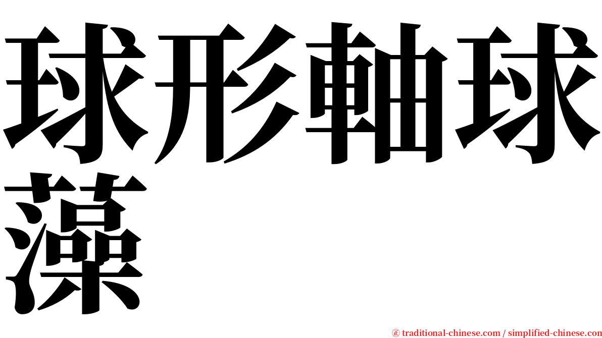 球形軸球藻 serif font