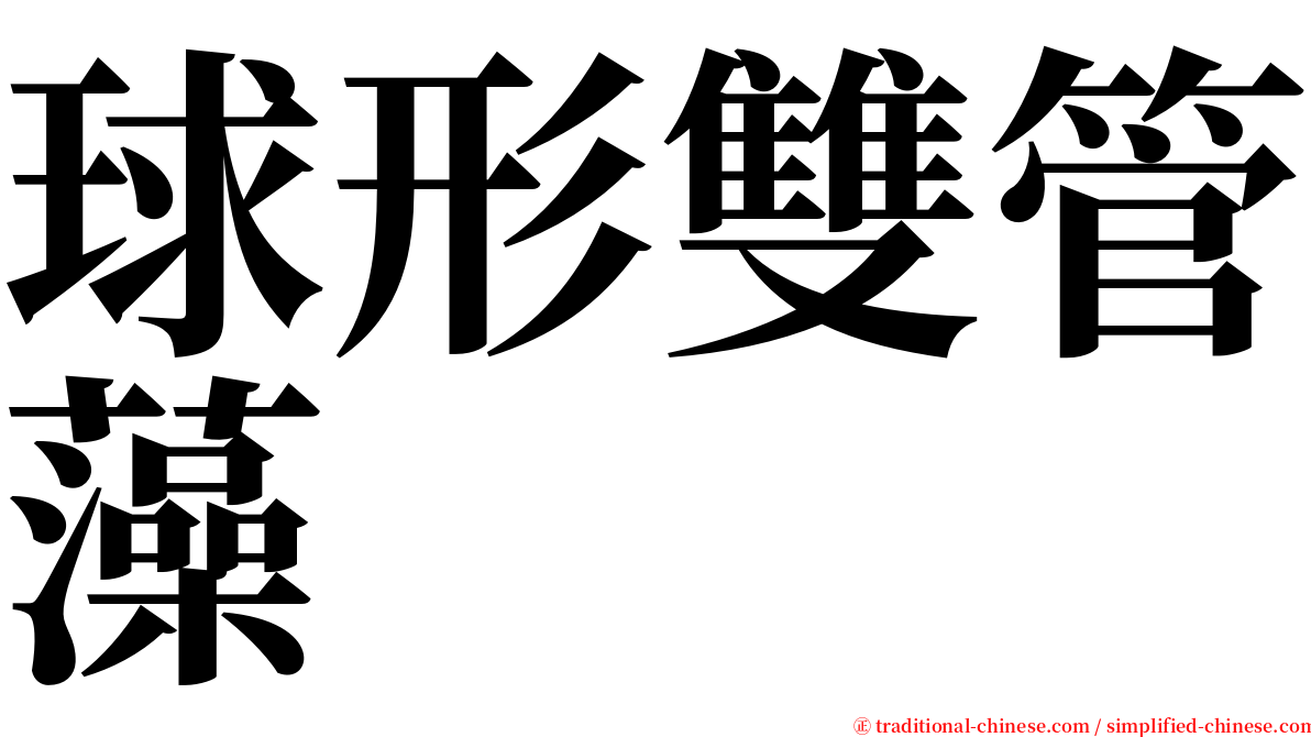 球形雙管藻 serif font