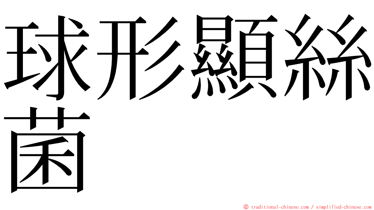 球形顯絲菌 ming font