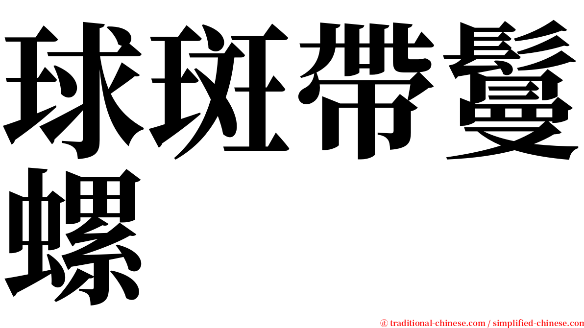 球斑帶鬘螺 serif font