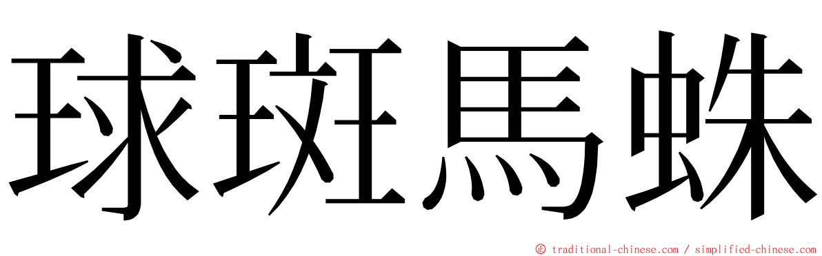 球斑馬蛛 ming font