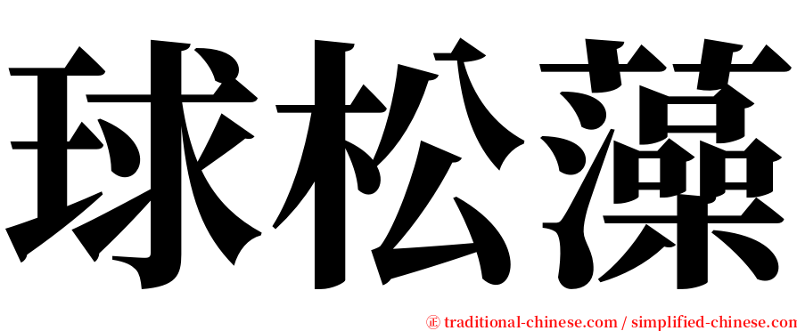 球松藻 serif font