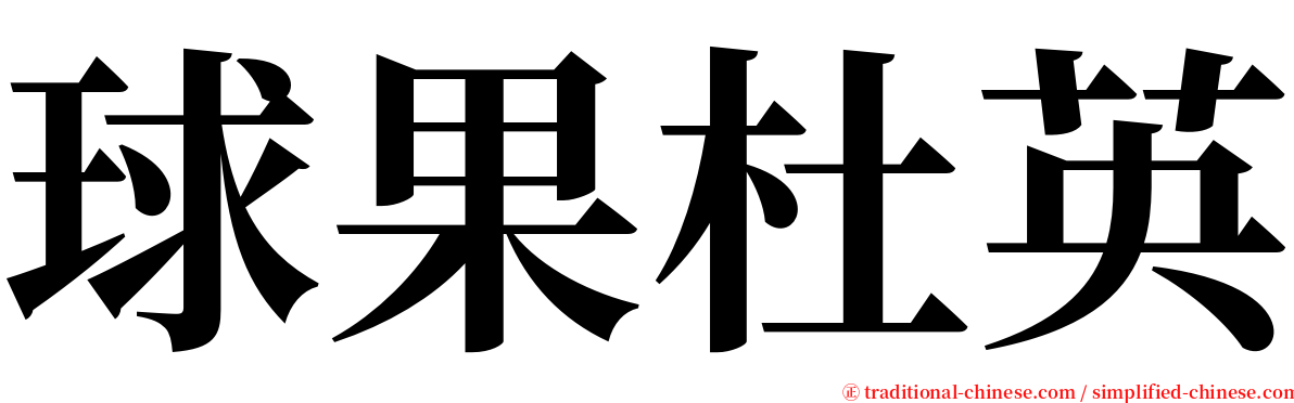 球果杜英 serif font