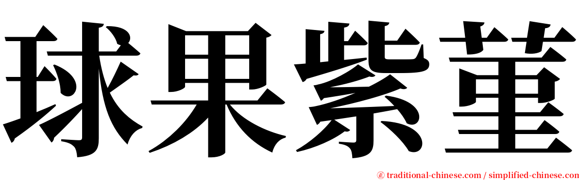 球果紫菫 serif font