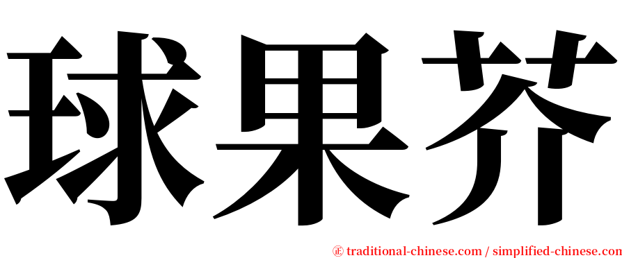 球果芥 serif font