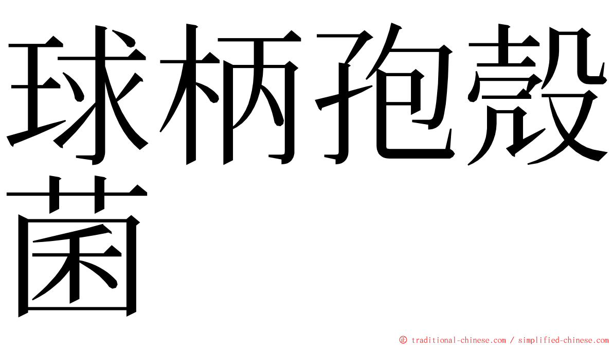 球柄孢殼菌 ming font