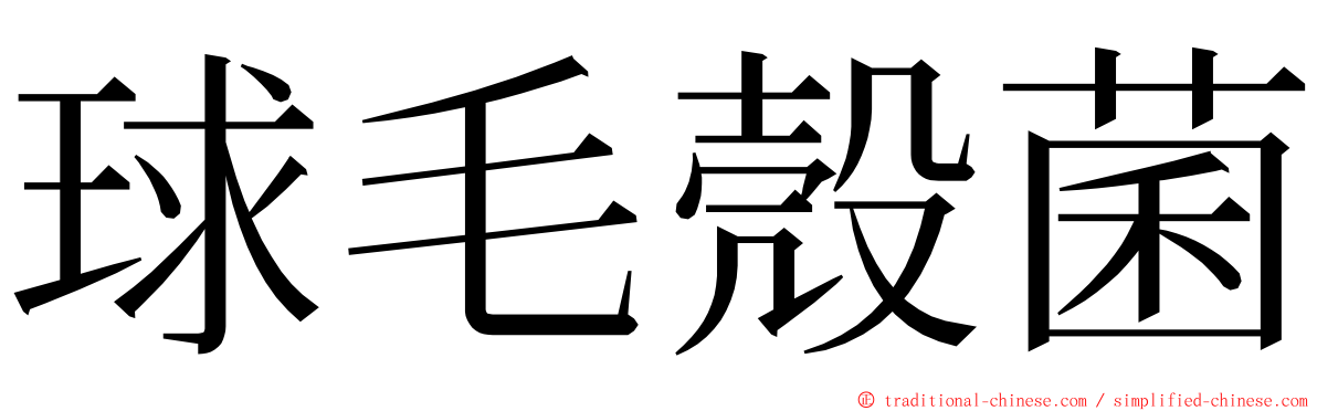 球毛殼菌 ming font