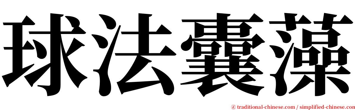 球法囊藻 serif font