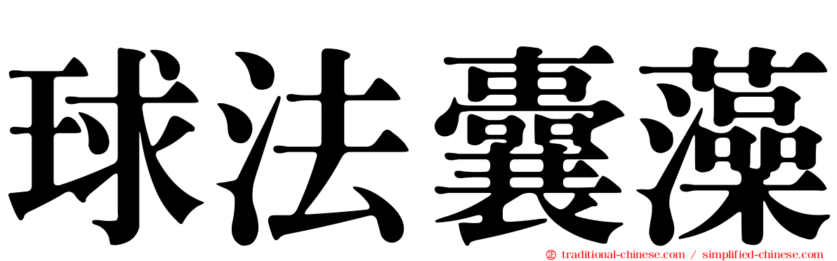 球法囊藻