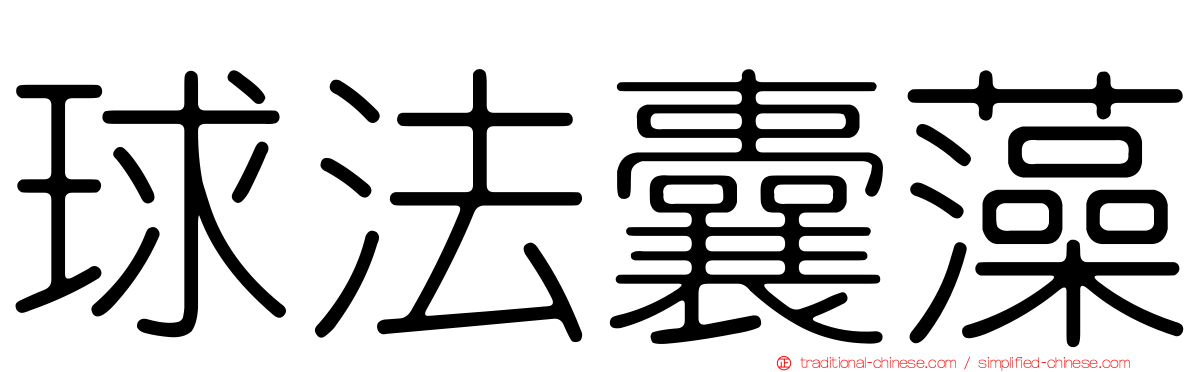 球法囊藻