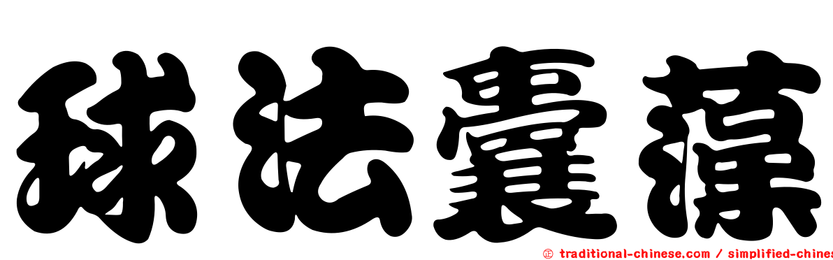球法囊藻